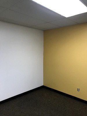 NR Painting project photo 7