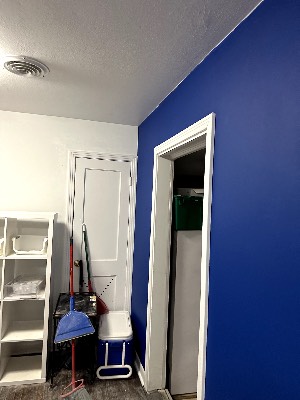 NR Painting project photo 4