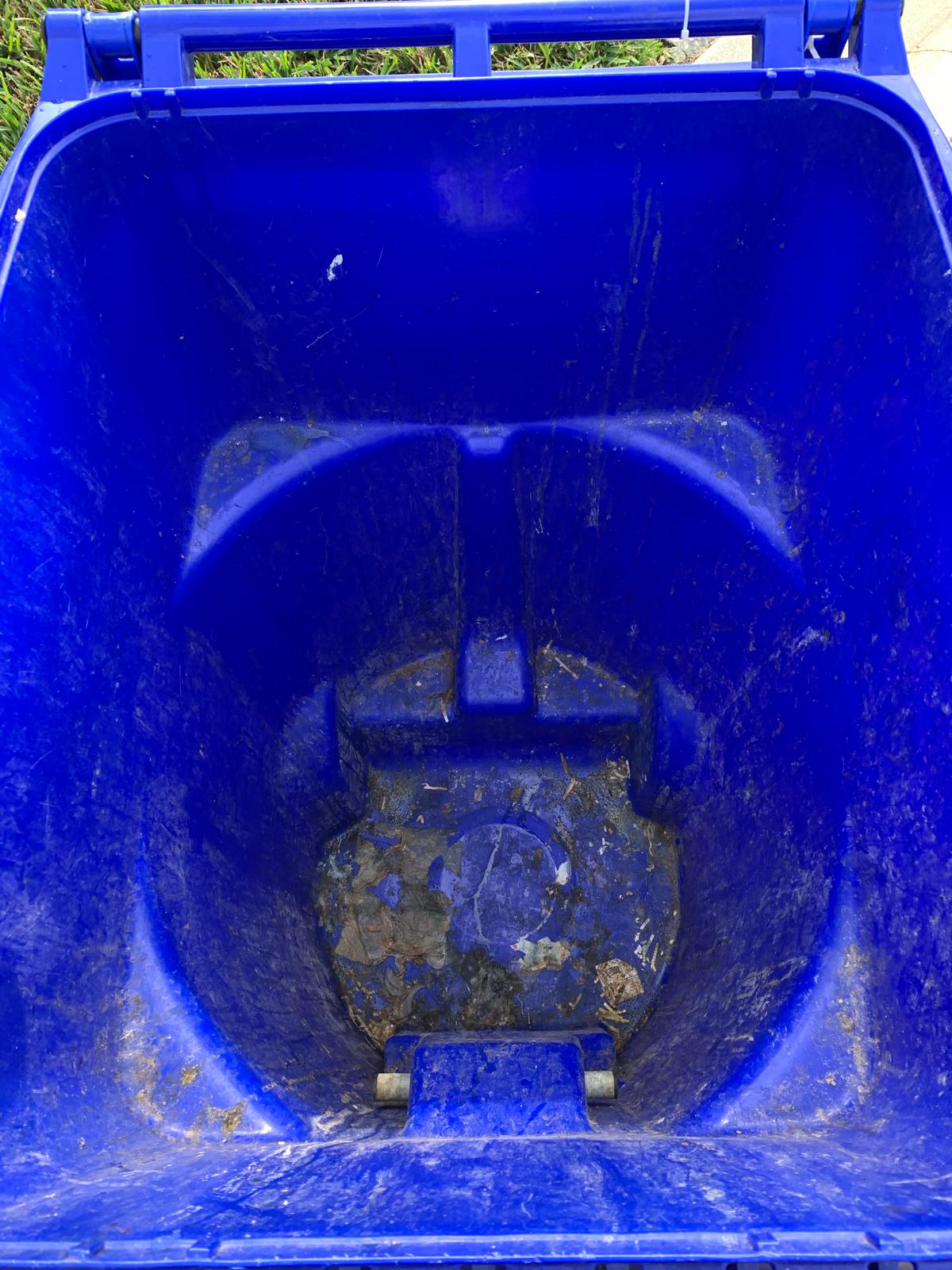 Orlando Bin Sanitizer project photo 2