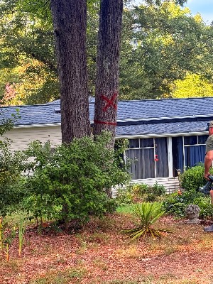 [object Object] work by Phillip Tree Service & Landscaping — photo 1 of 6