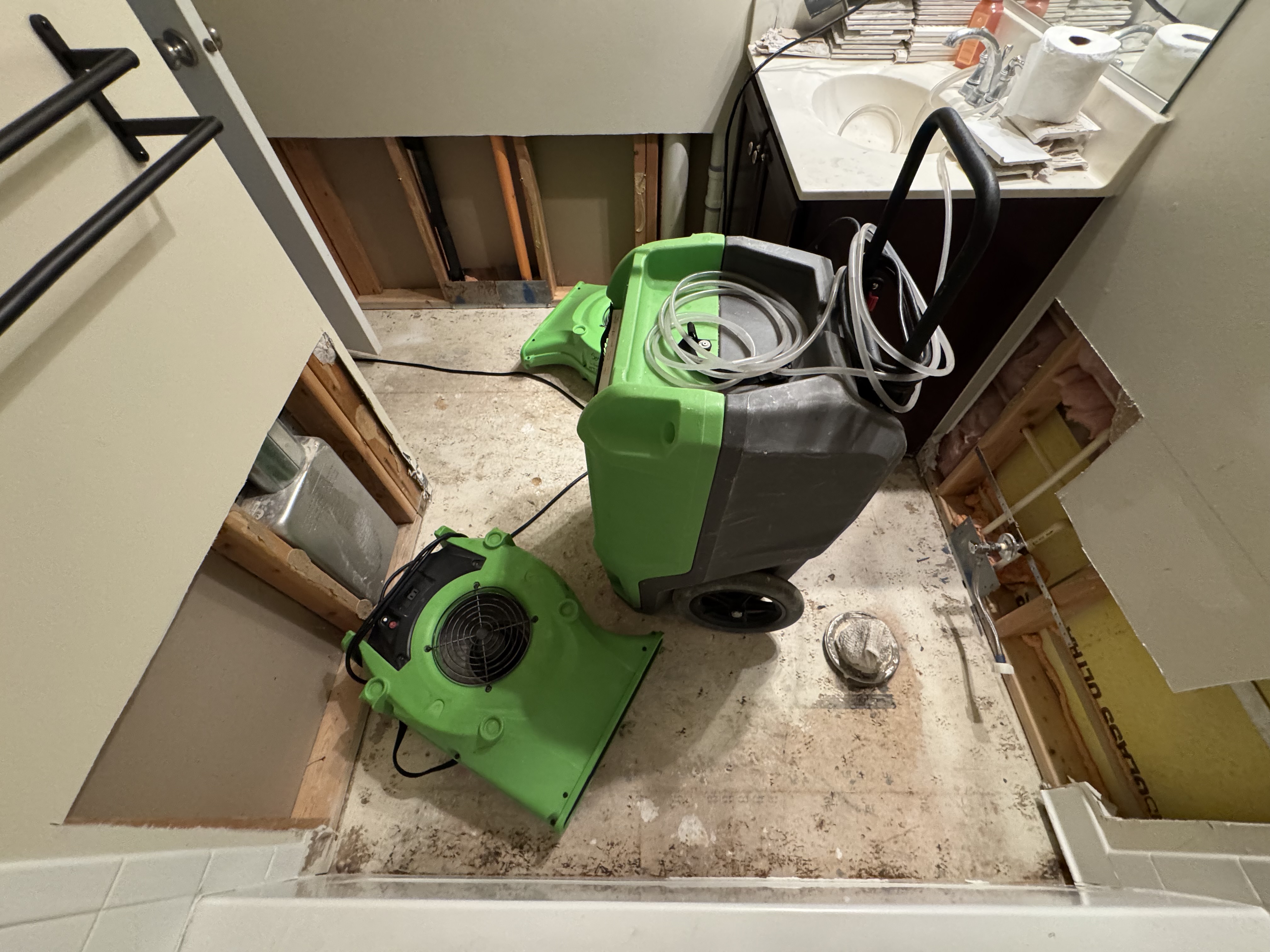 Pro Max Restoration project photo