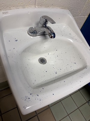 PR Sparkling Cleaning project photo 4