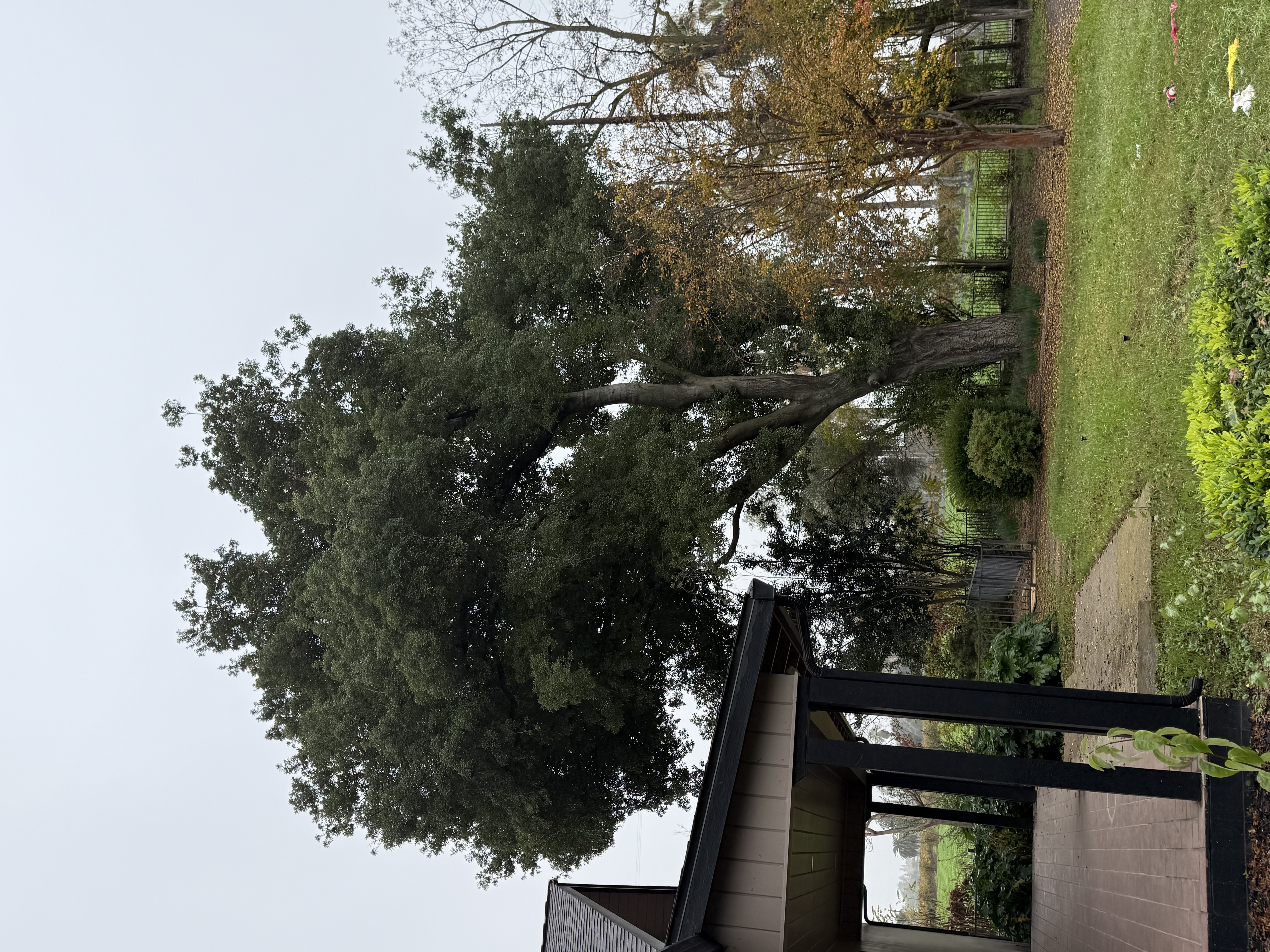 Gallery photo 17