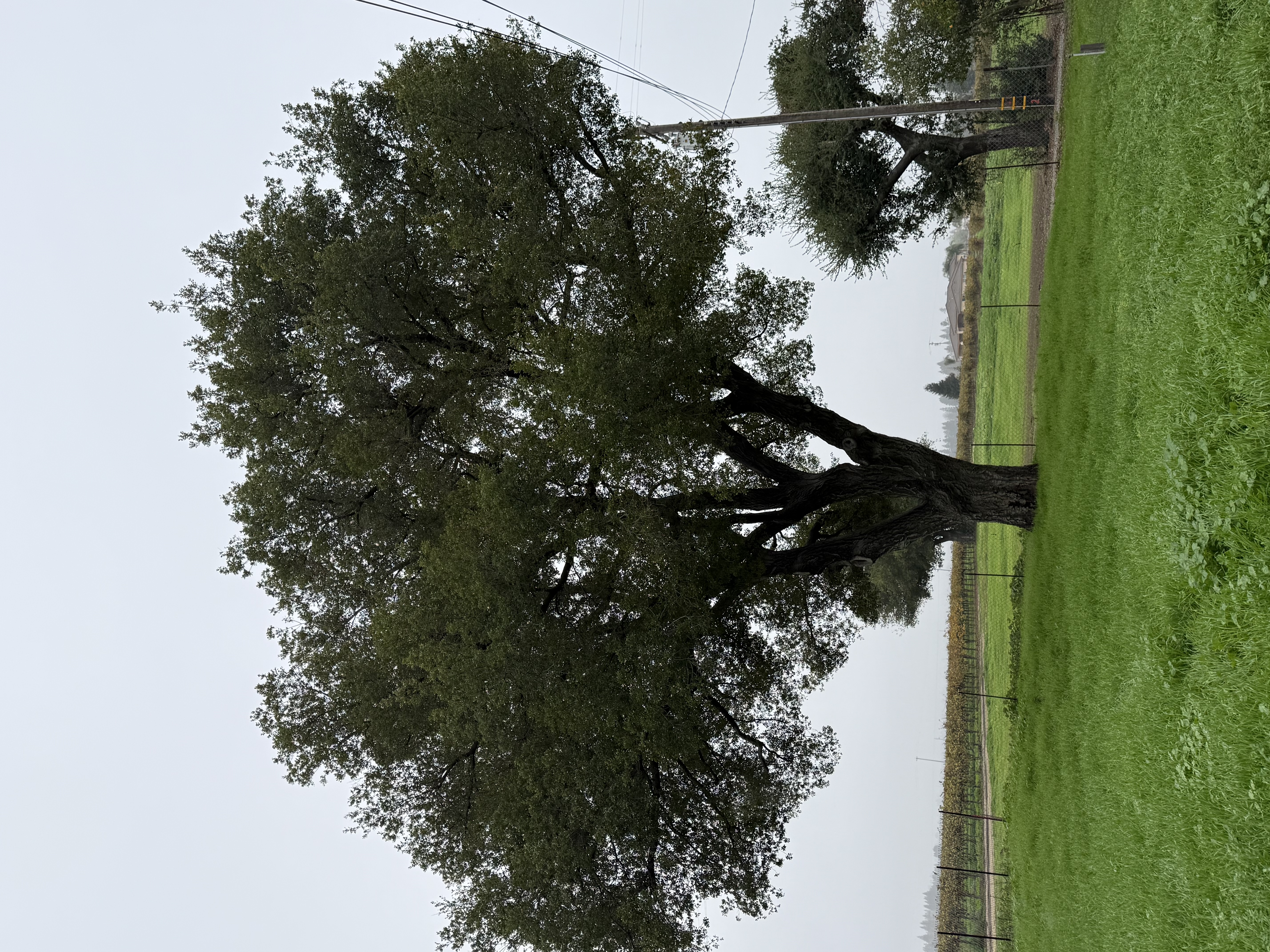 Gallery photo 16