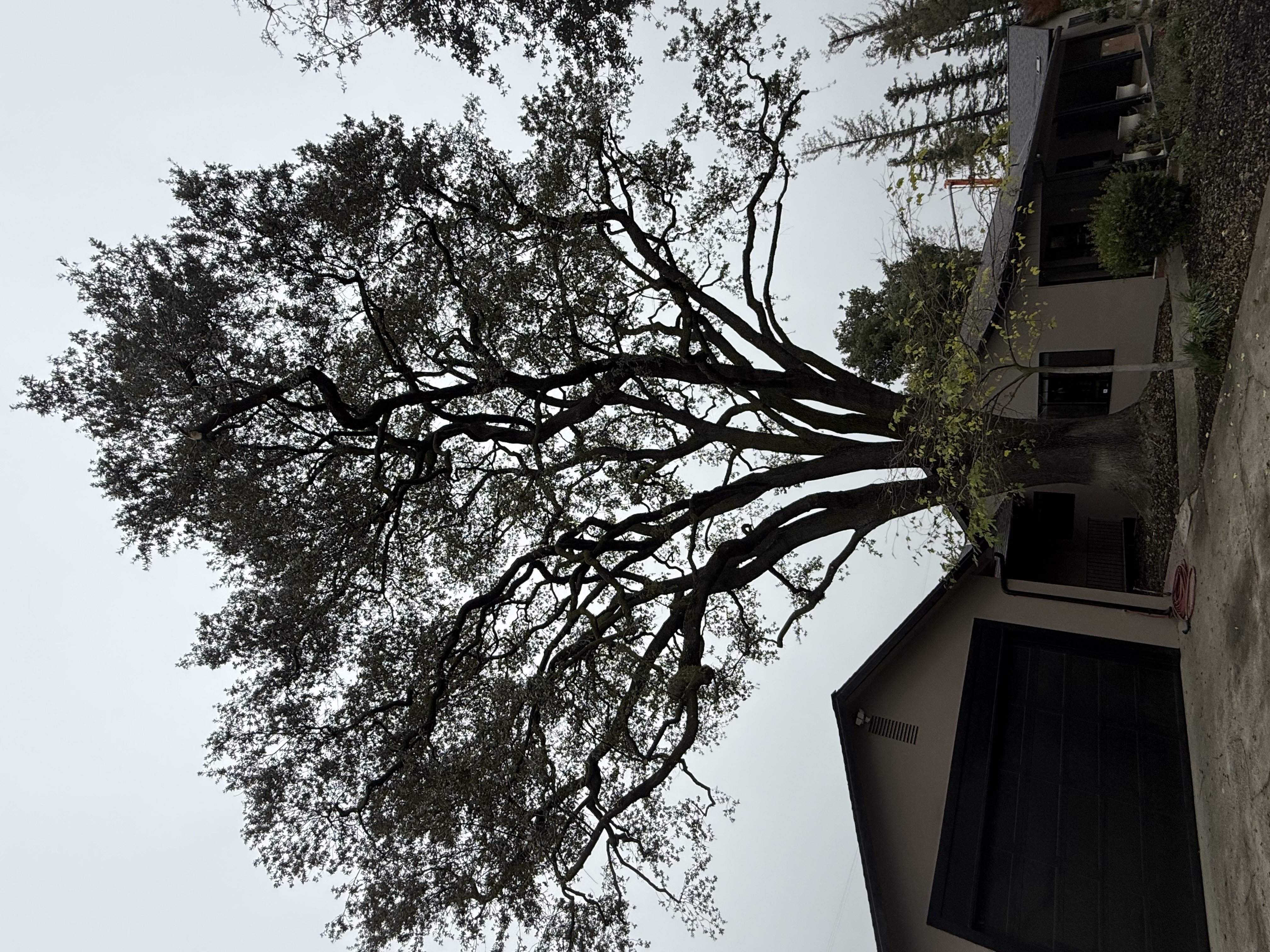 Gallery photo 11