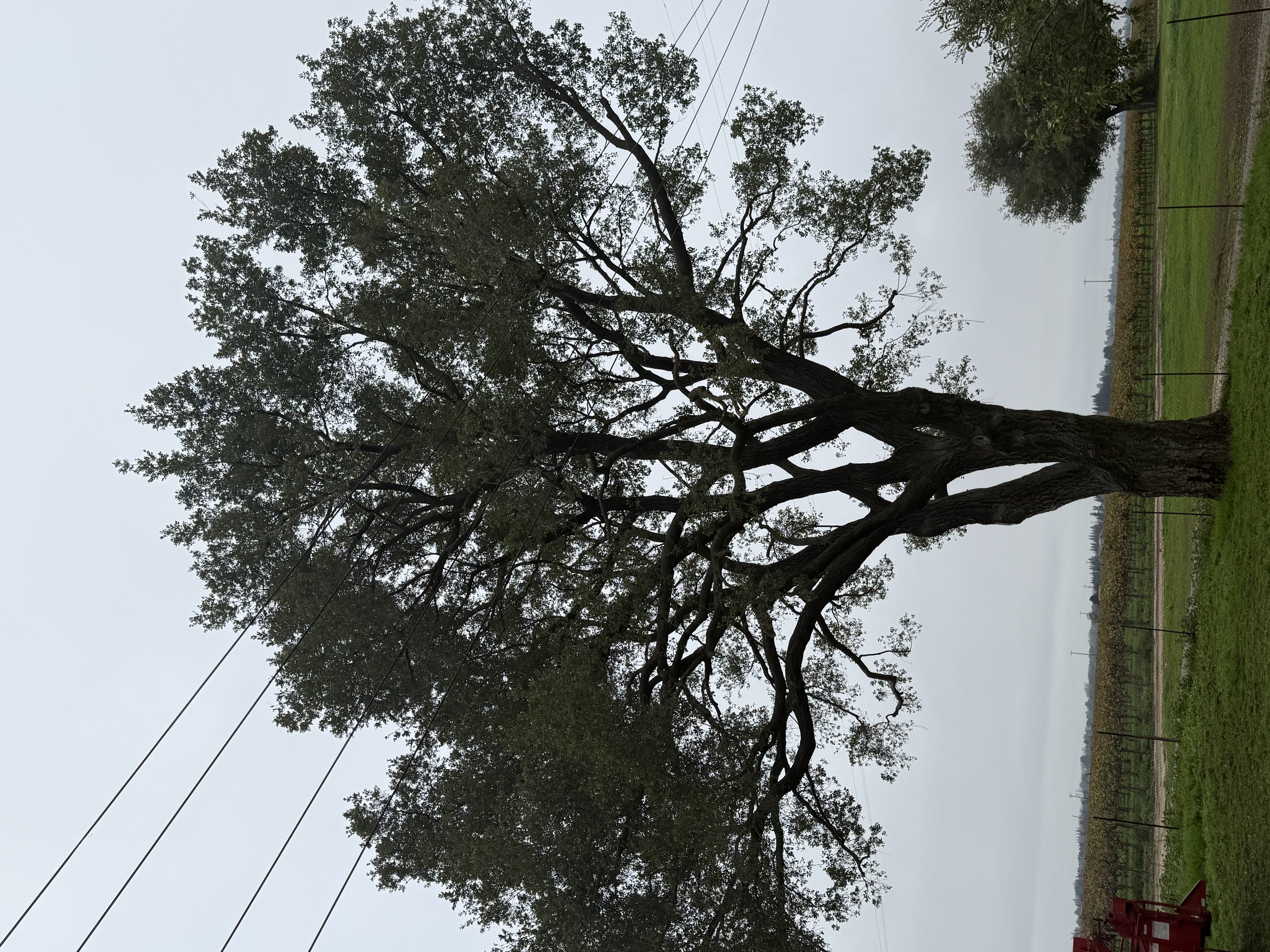 Gallery photo 8