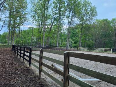 Fence and landscaping project photo 18