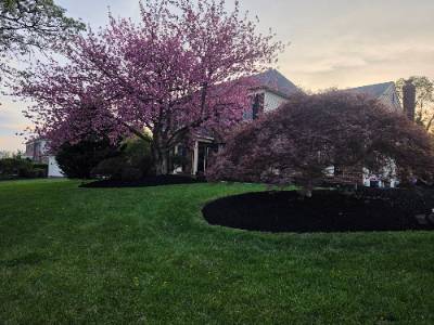 Fence and landscaping project photo 15