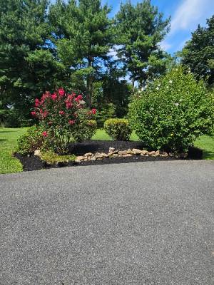 Fence and landscaping project photo 5