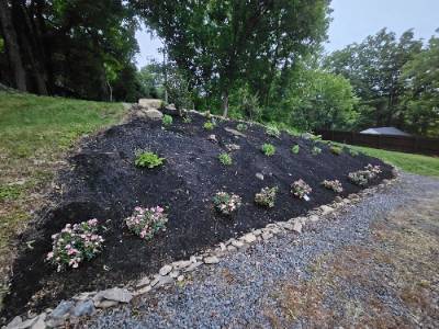 Fence and landscaping project photo 2