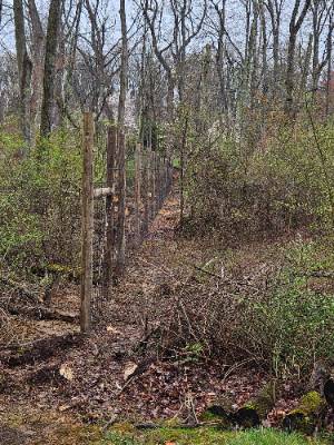 Fence and landscaping project photo 1
