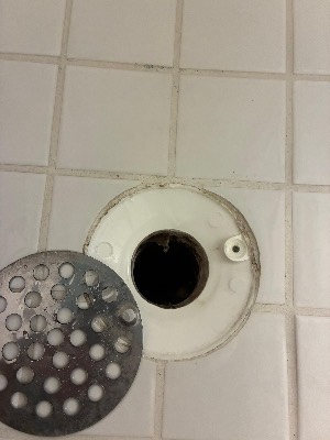 Floor drain cover being deep cleaned