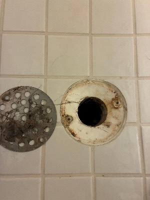 Floor drain cover being deep cleaned