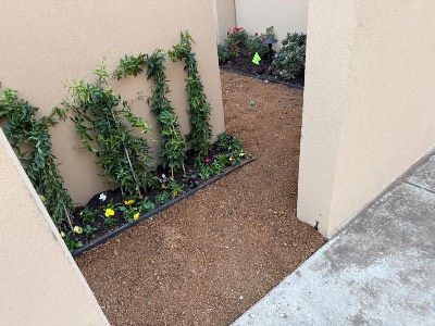 Three Guys Landscaping project photo