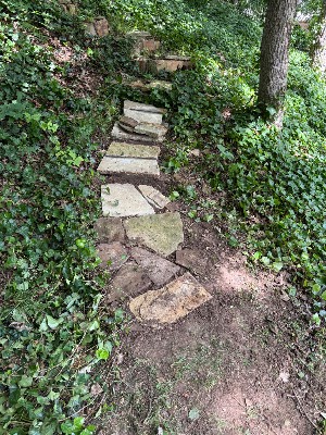 Three Guys Landscaping project photo