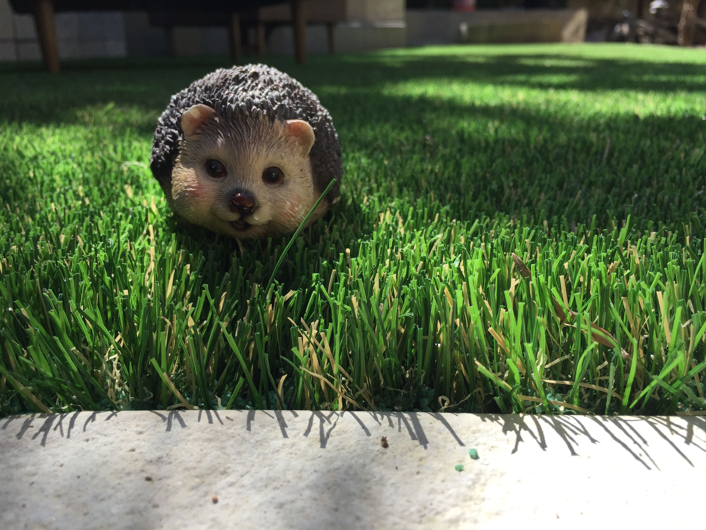 3RS Landscaping artificial turf project 11 in Southern California