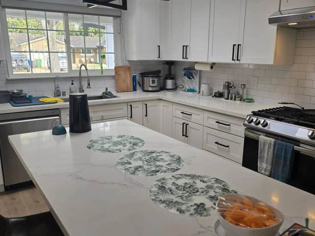 Kitchen Cleaning