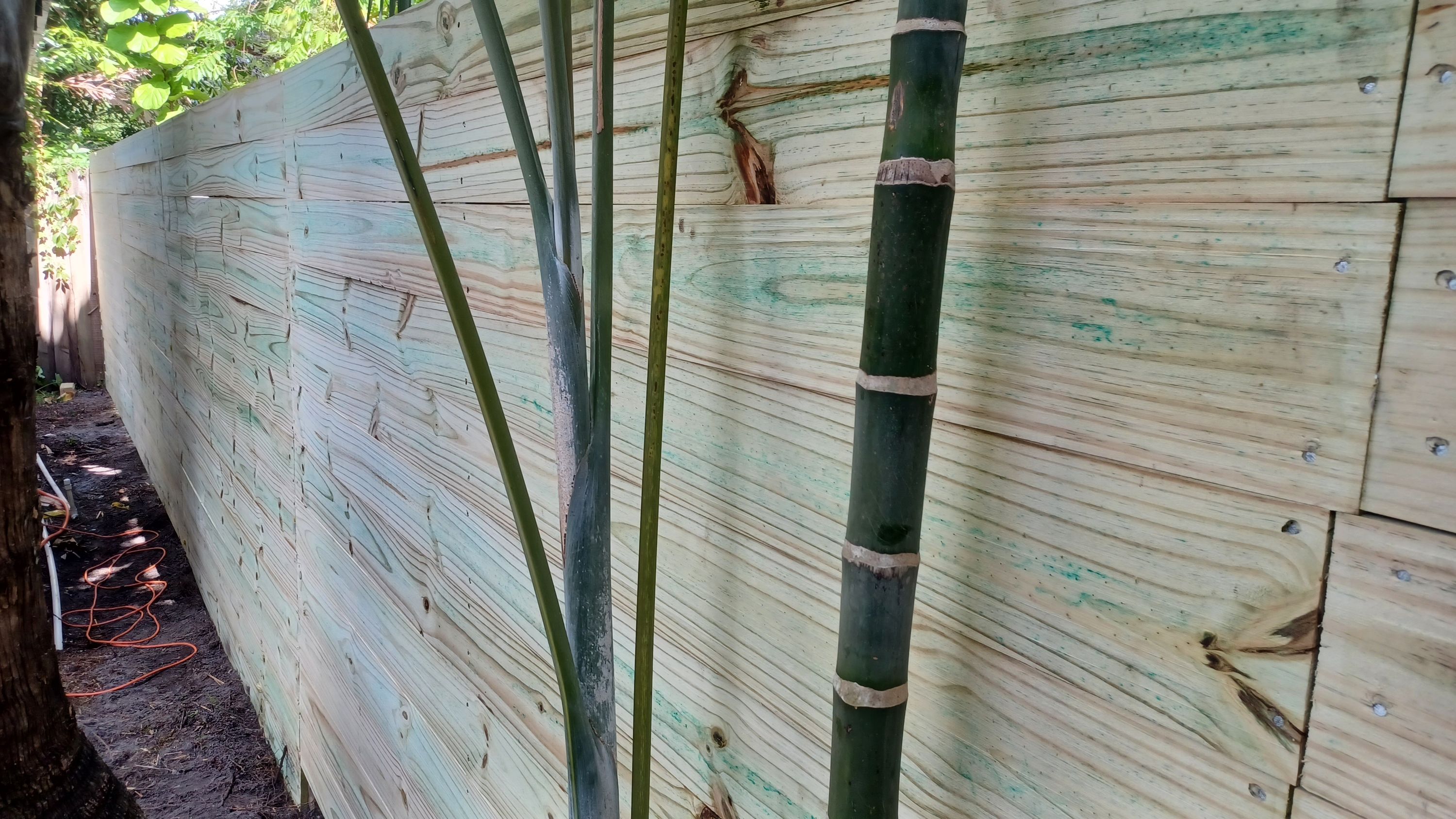 Marquez Yera Fence job photo 2