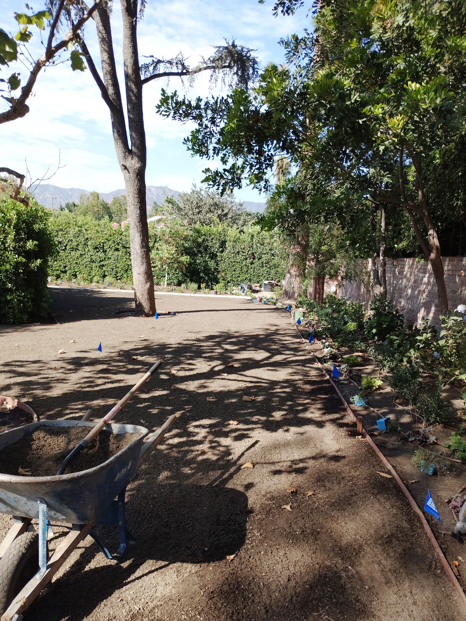Millan's landscaping job photo 11 — landscaping, hardscape, and yard work across Los Angeles County