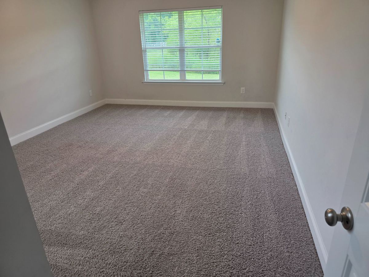 Move-In & Move-Out Cleaning