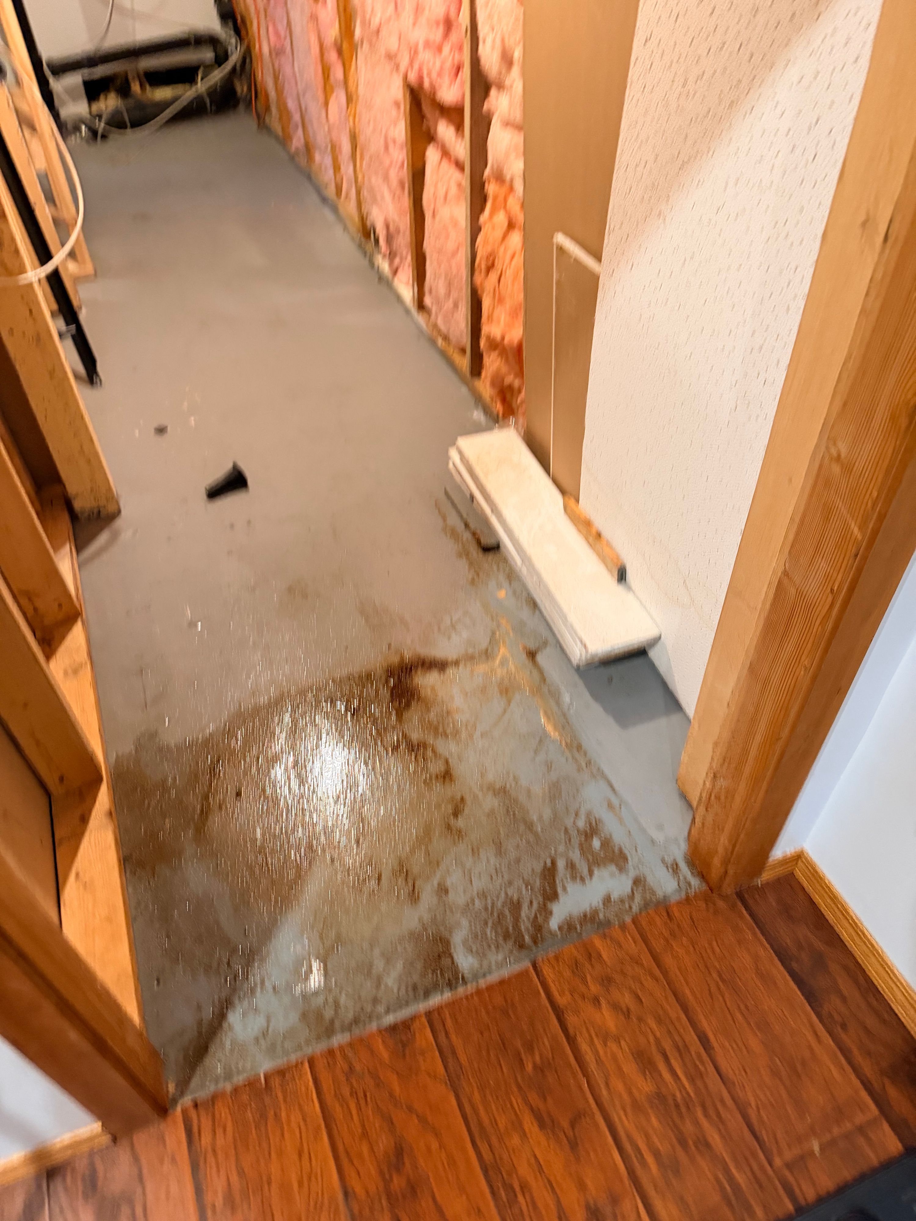 Carpet Cleaning — professional cleaning service in Fernie & the Elk Valley, BC