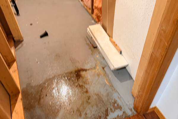 Carpet Cleaning — professional cleaning service in Fernie & the Elk Valley, BC