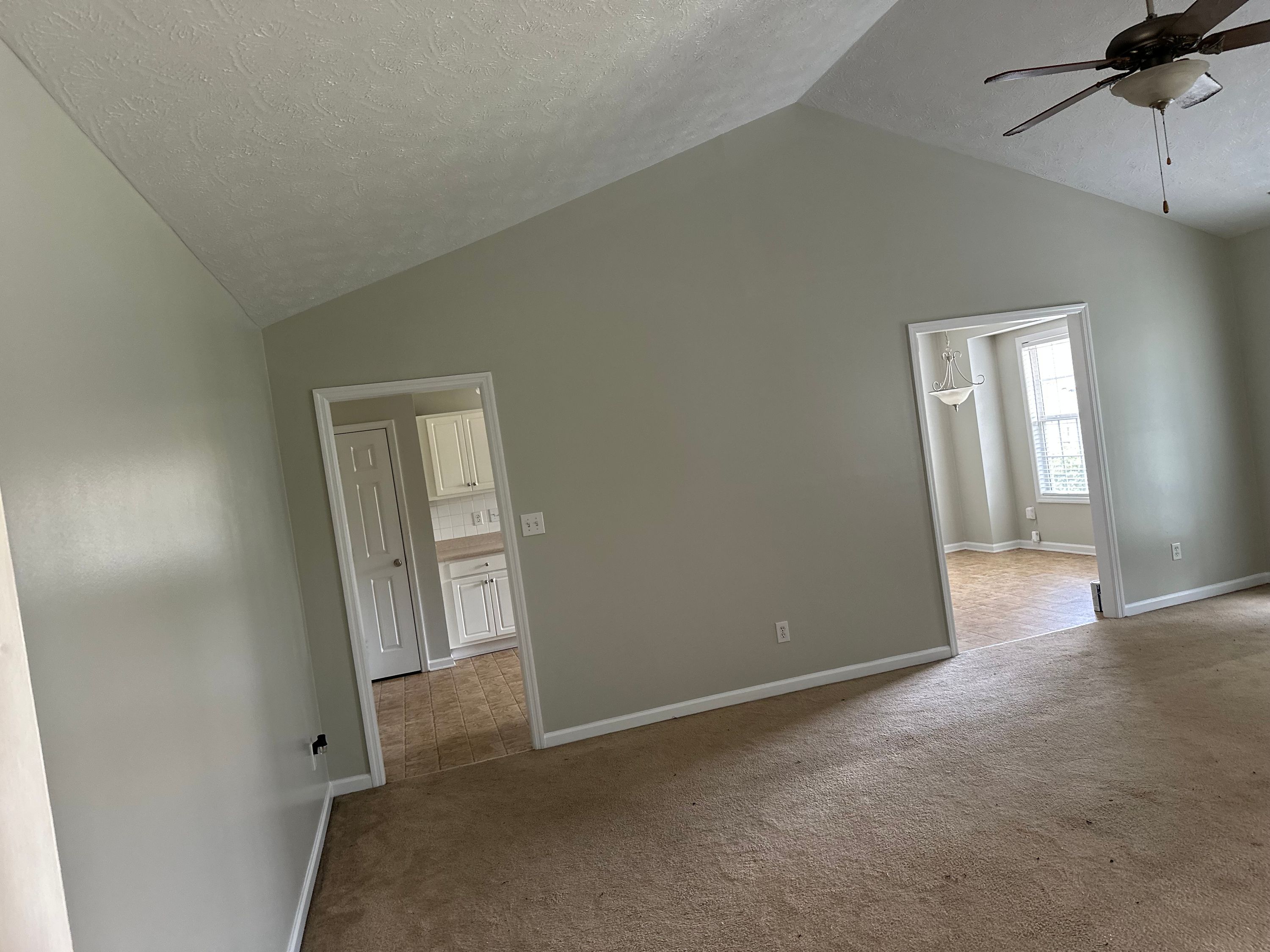 All Professional Painting Services LLC project photo 19 — painting work in the Fayetteville, NC area