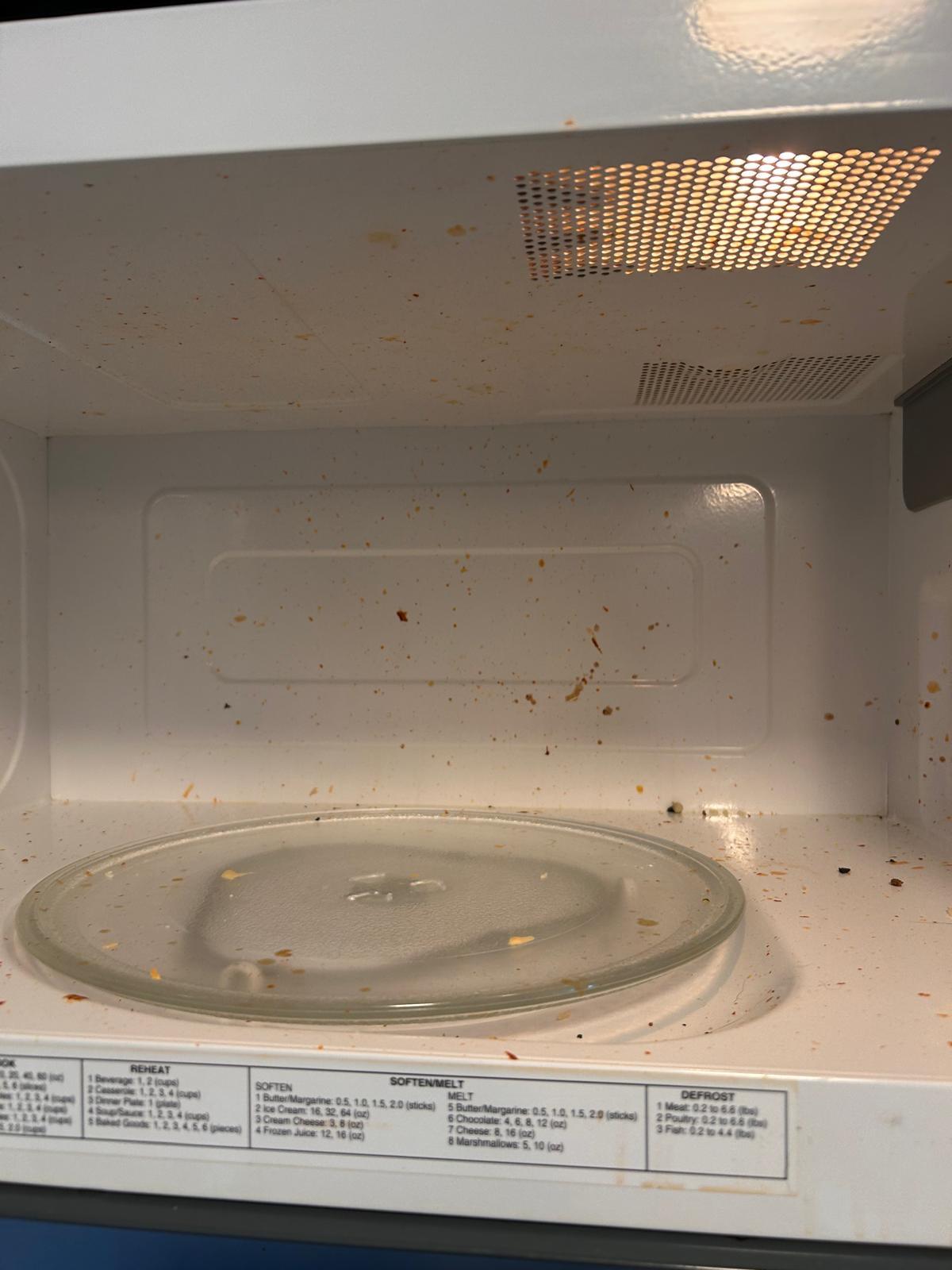 Microwave interior — before