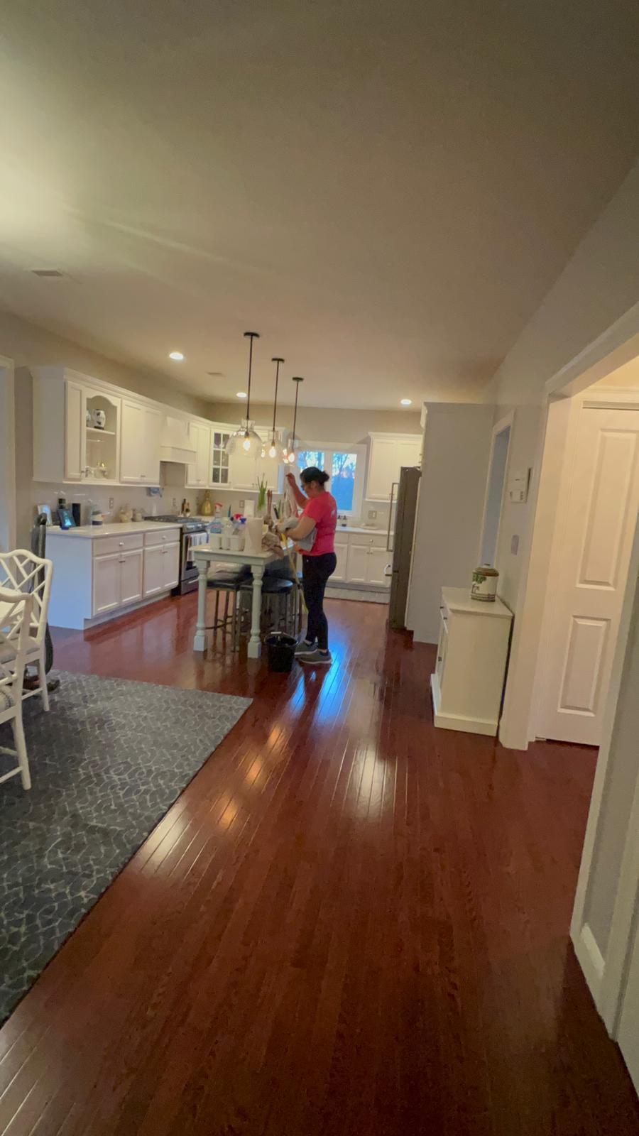 América Braga Cleaning services