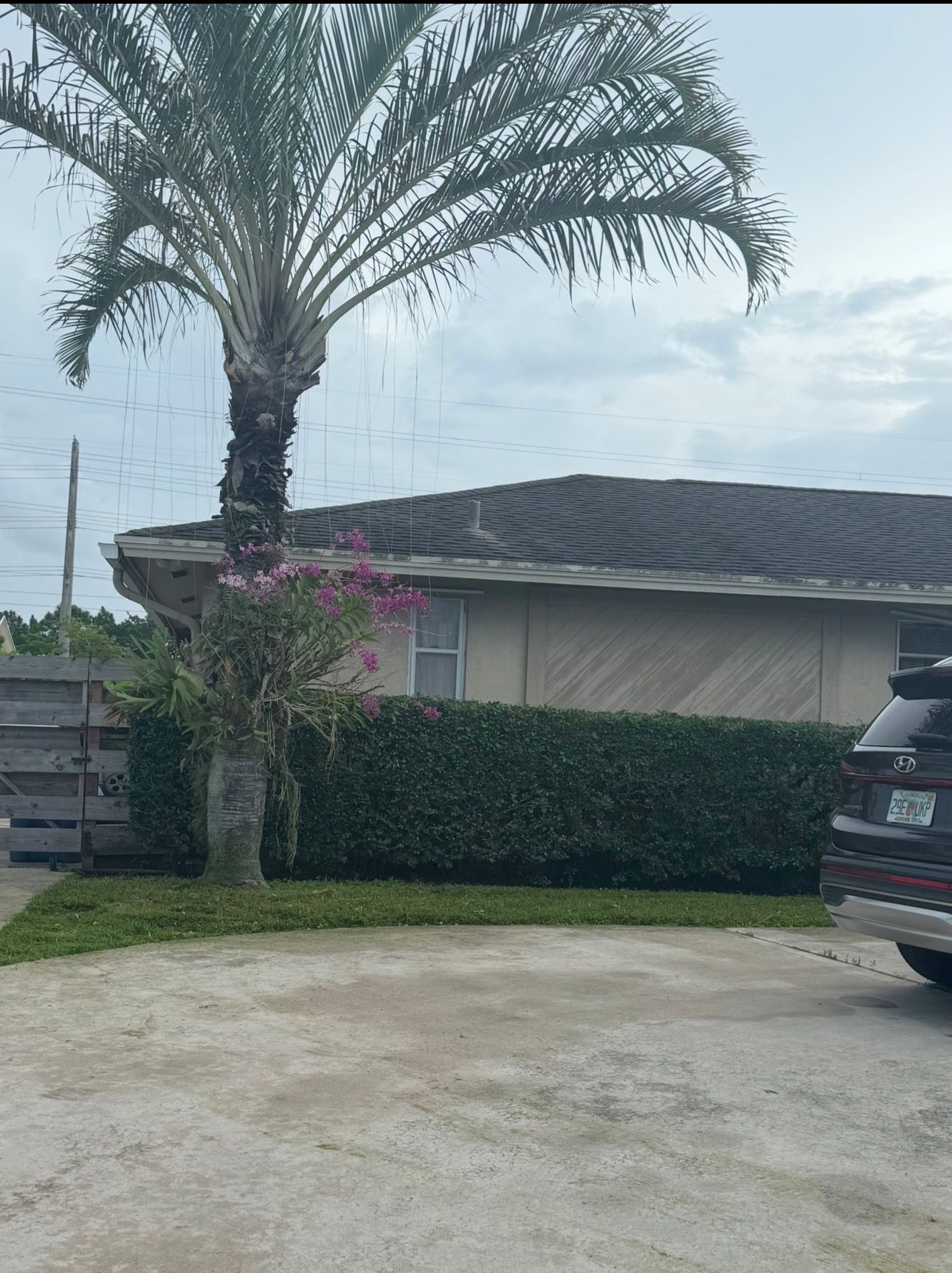 Angelica & Frank Lawn Service & Landscaping Corp. project photo 6