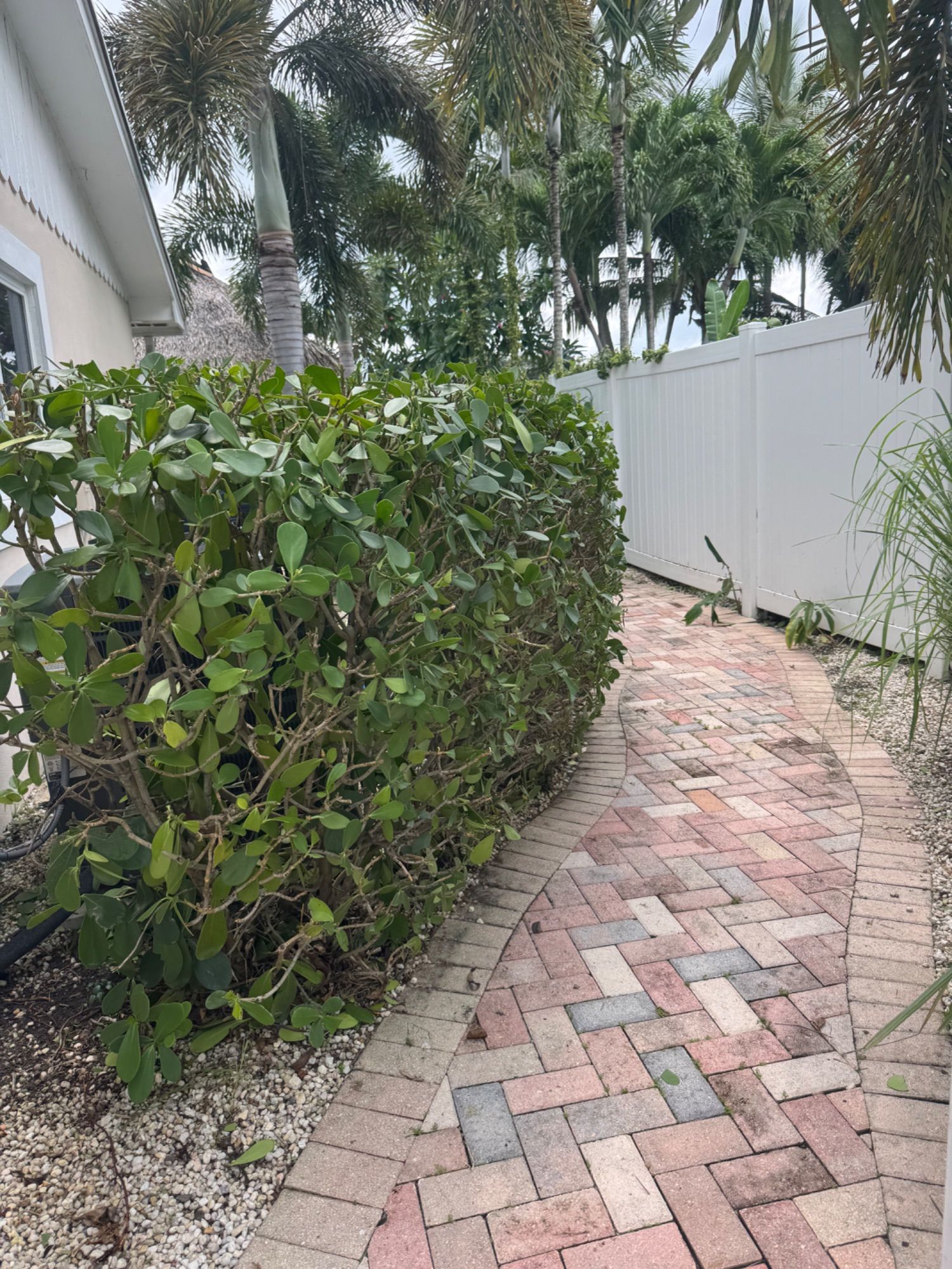 Angelica & Frank Lawn Service & Landscaping Corp. project photo 3