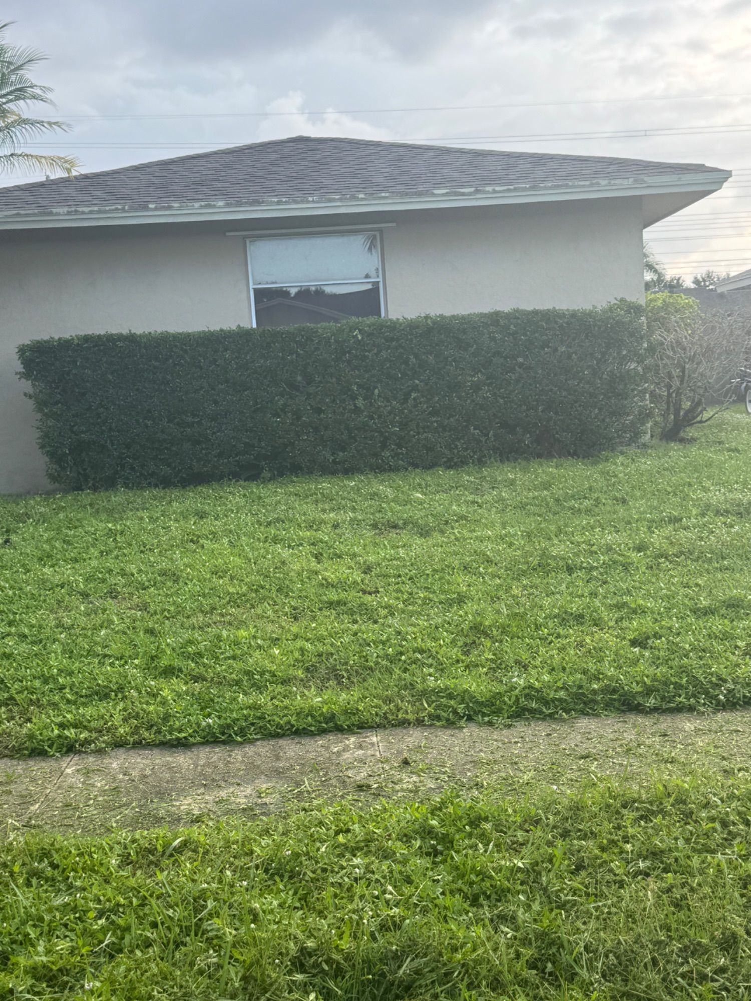 Angelica & Frank Lawn Service & Landscaping Corp. project photo 2