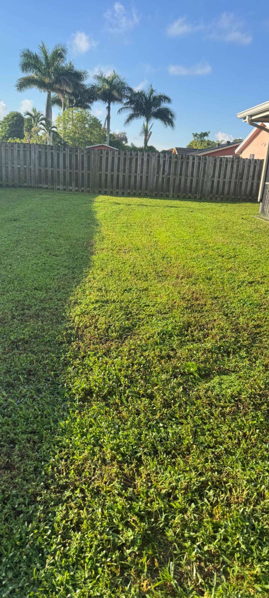 Angelica & Frank Lawn Service & Landscaping Corp. project photo 1