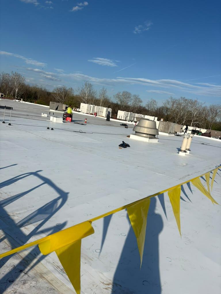 Argueta Roofing project photo 7