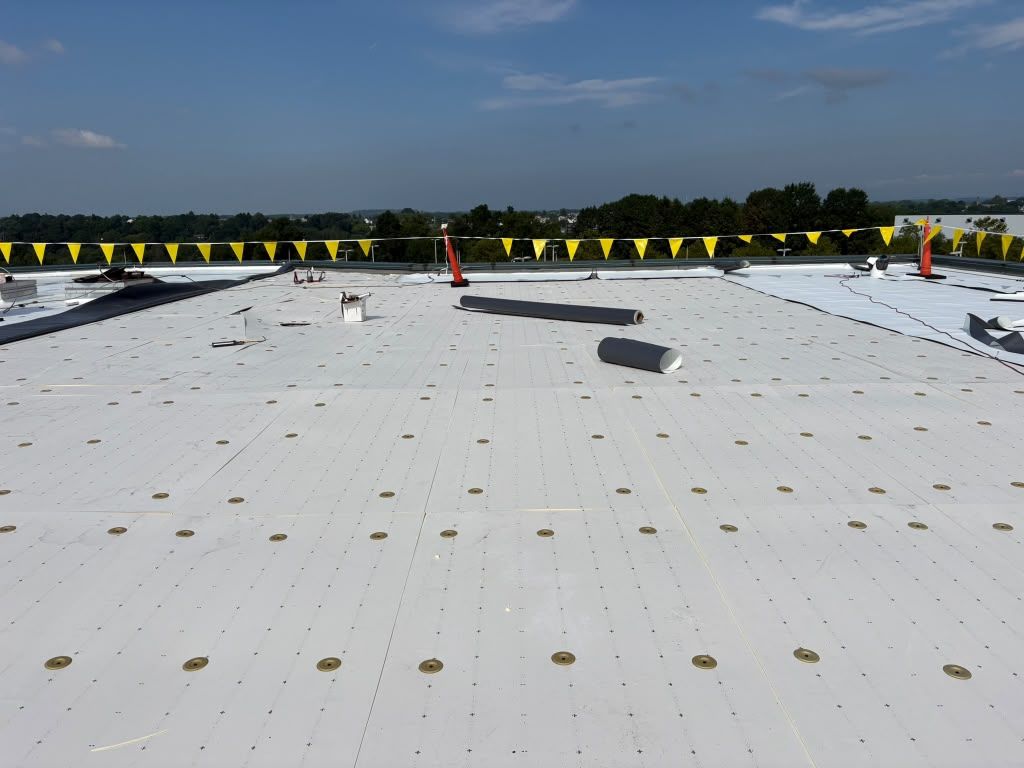 Argueta Roofing project photo 11