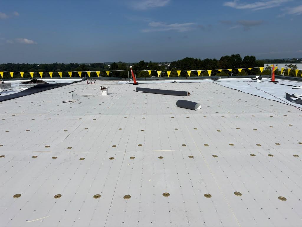 Roofing / Techos