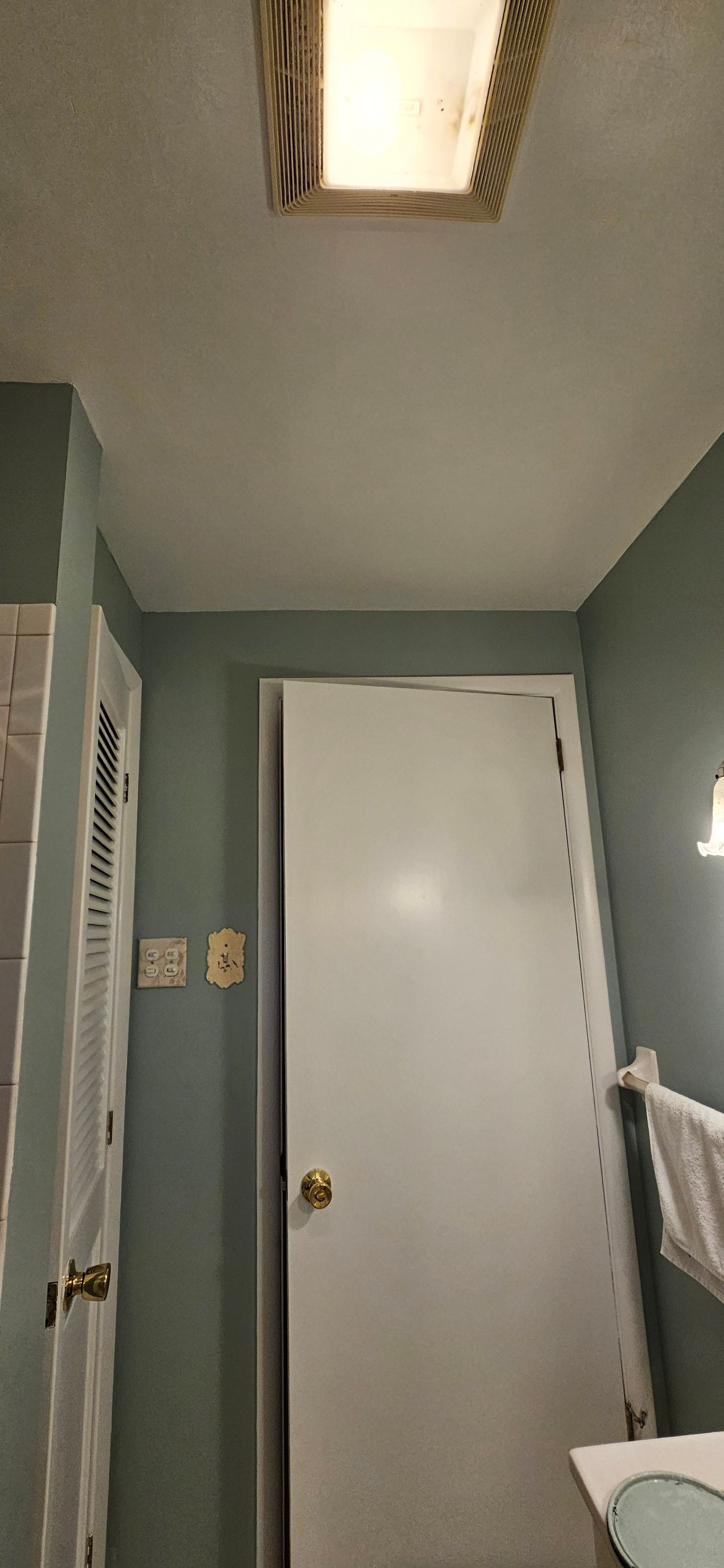 Bathroom walls painted muted teal-green around a white six-panel door, finished work