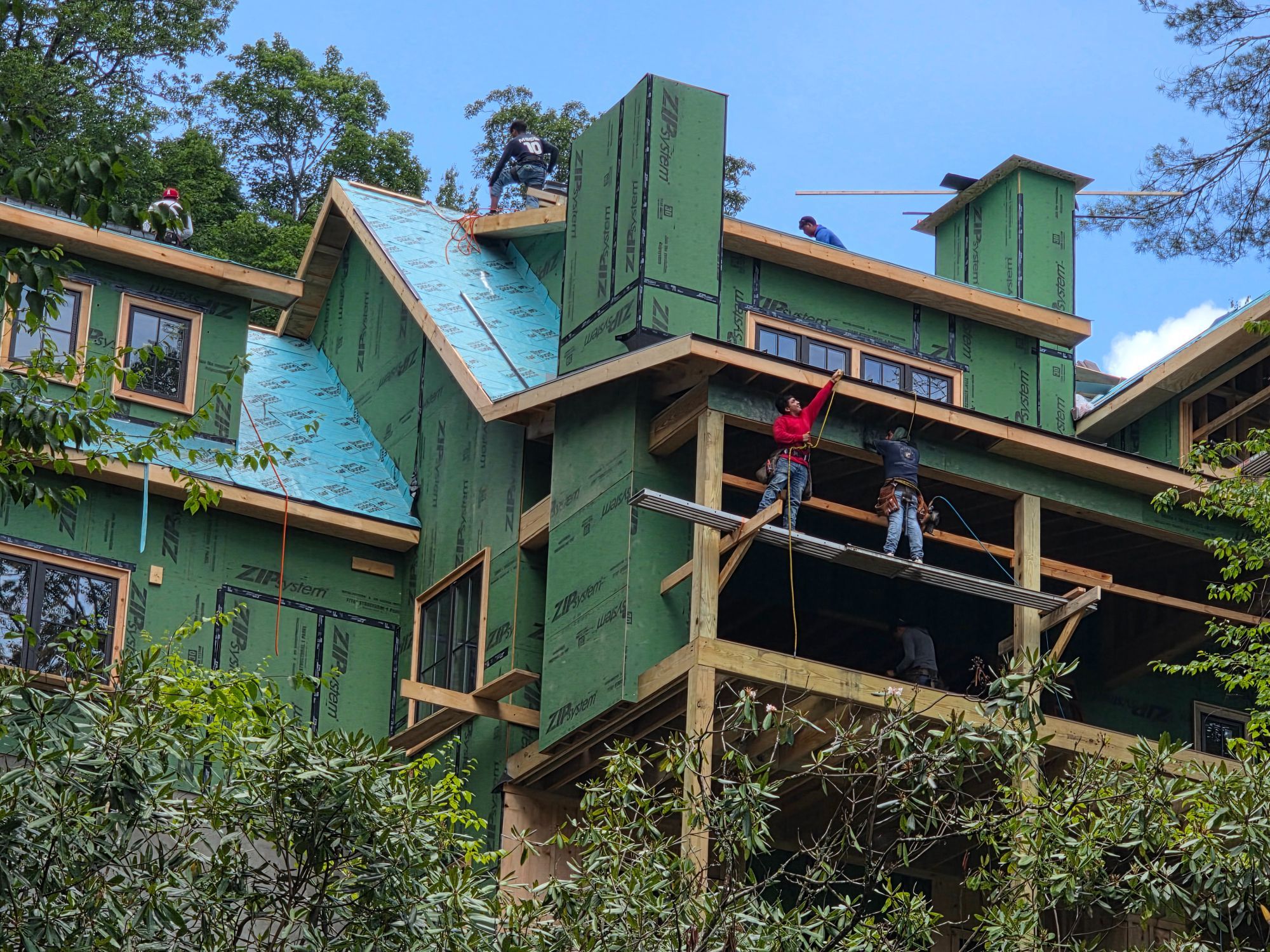 Bird Carpenter LLC project photo 1
