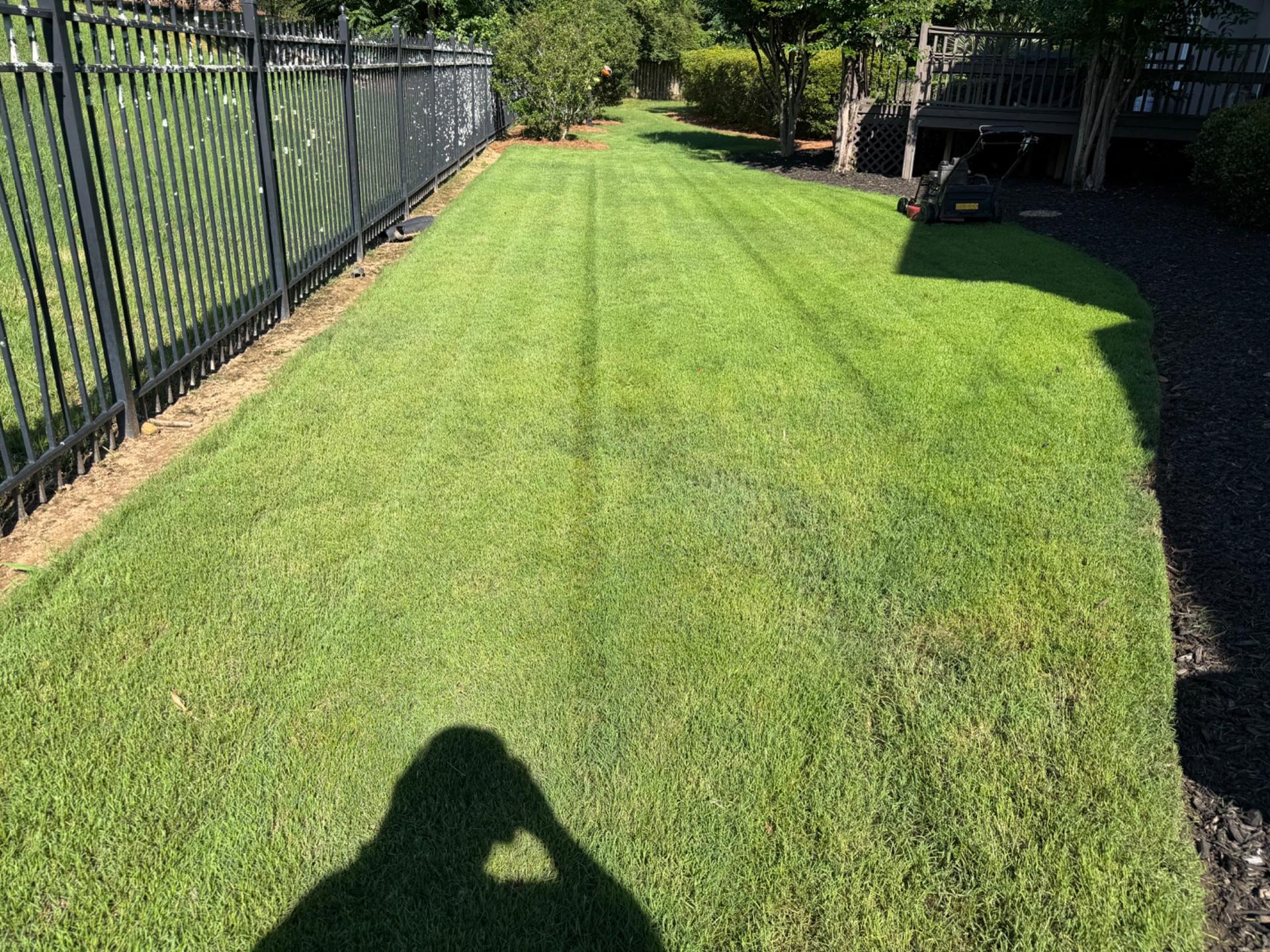 Insights from CG Landscaping Services