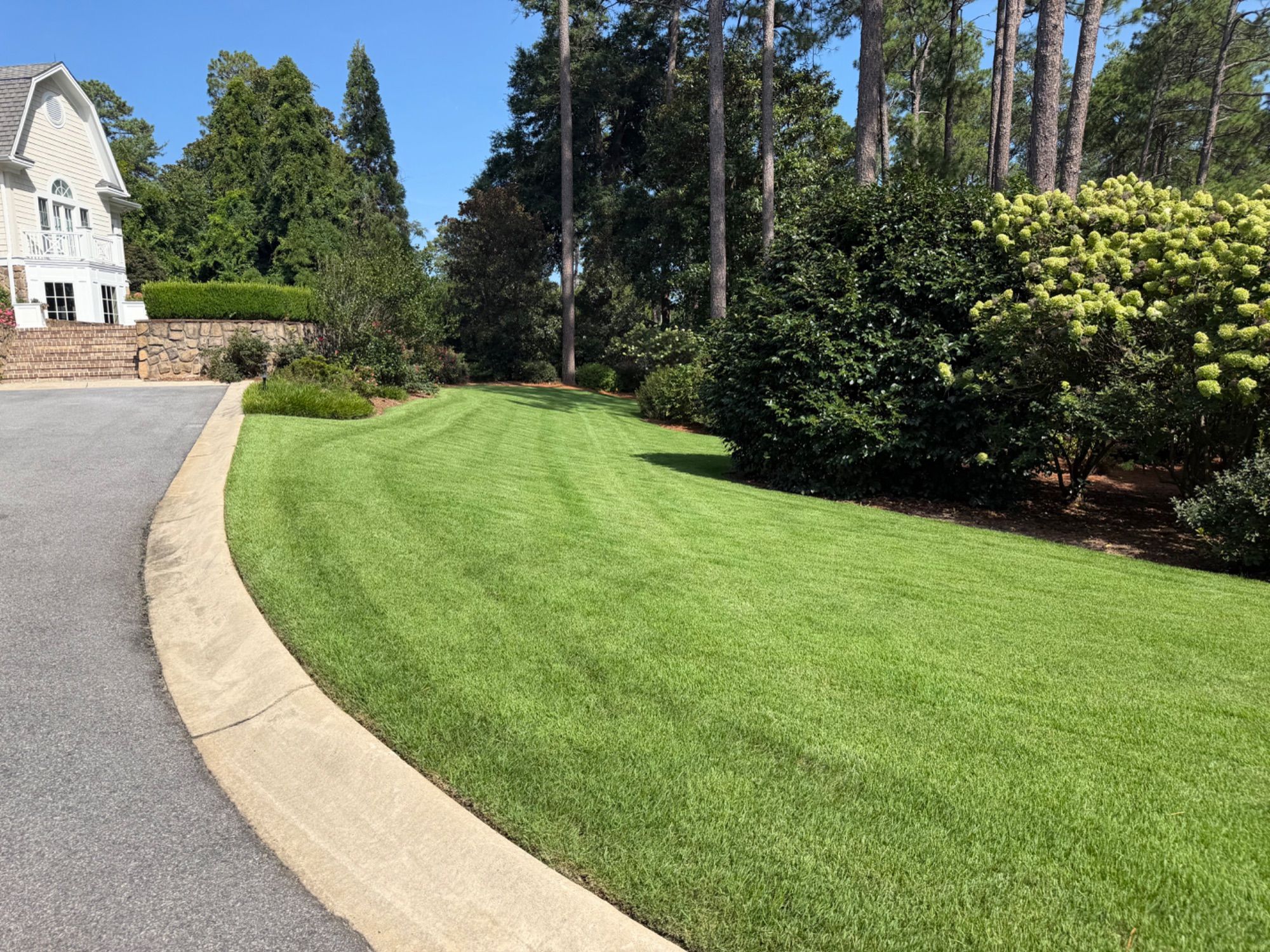 CG Landscaping Services project photo 12