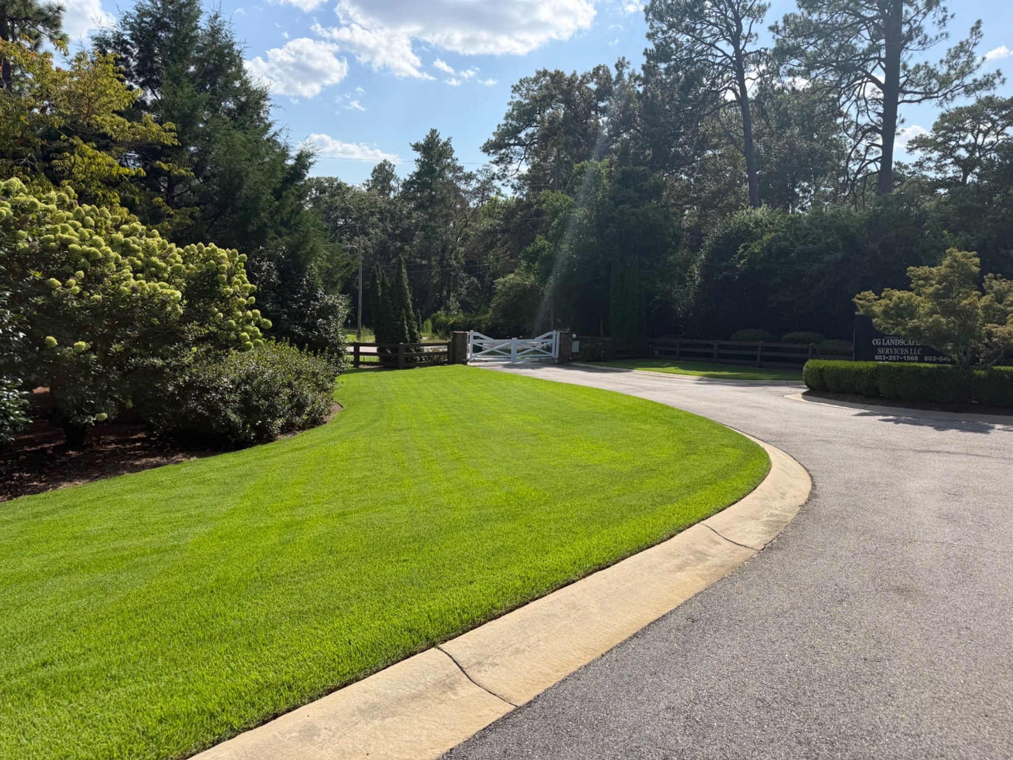 CG Landscaping Services project photo 17