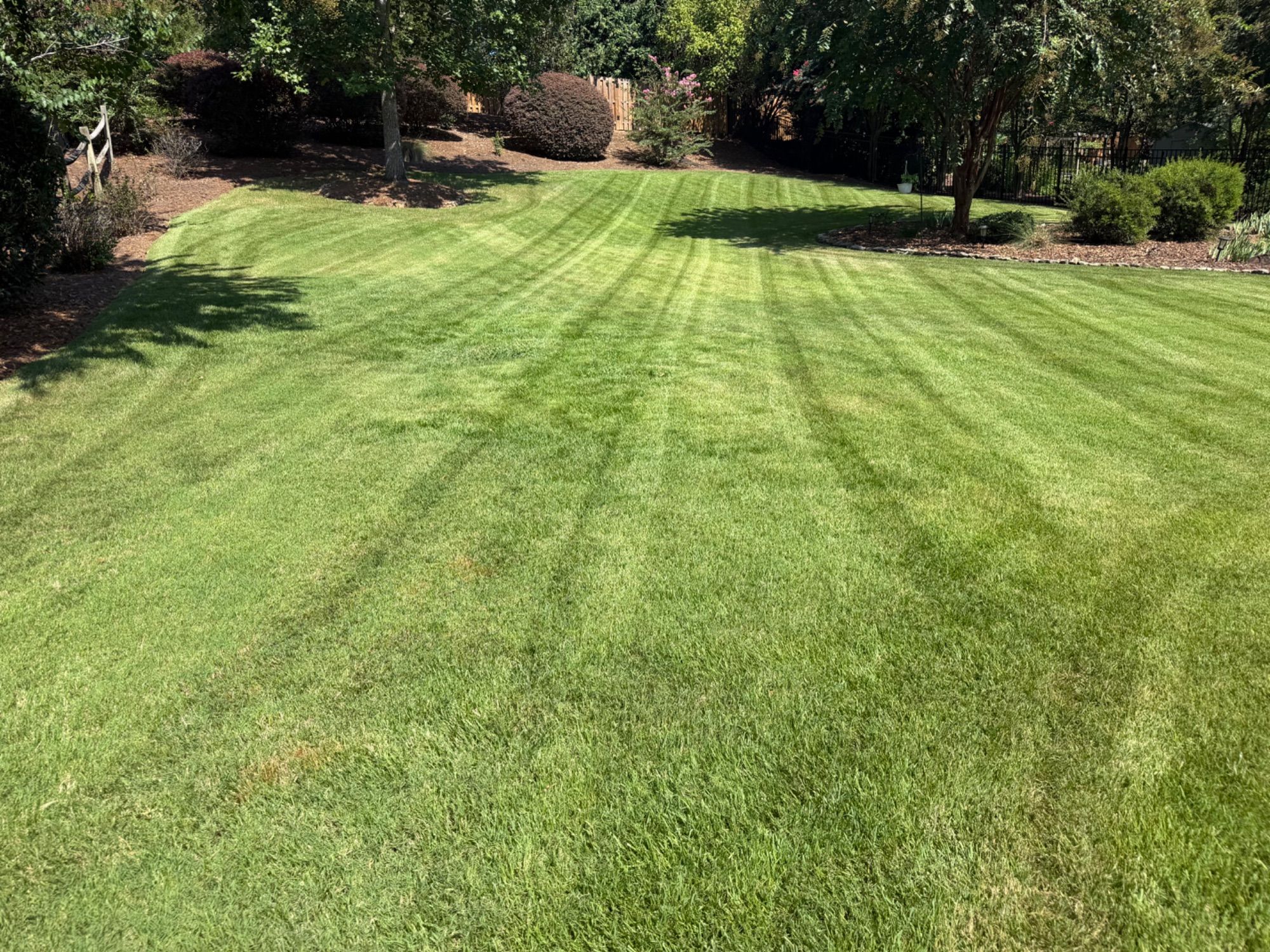 CG Landscaping Services project photo 16