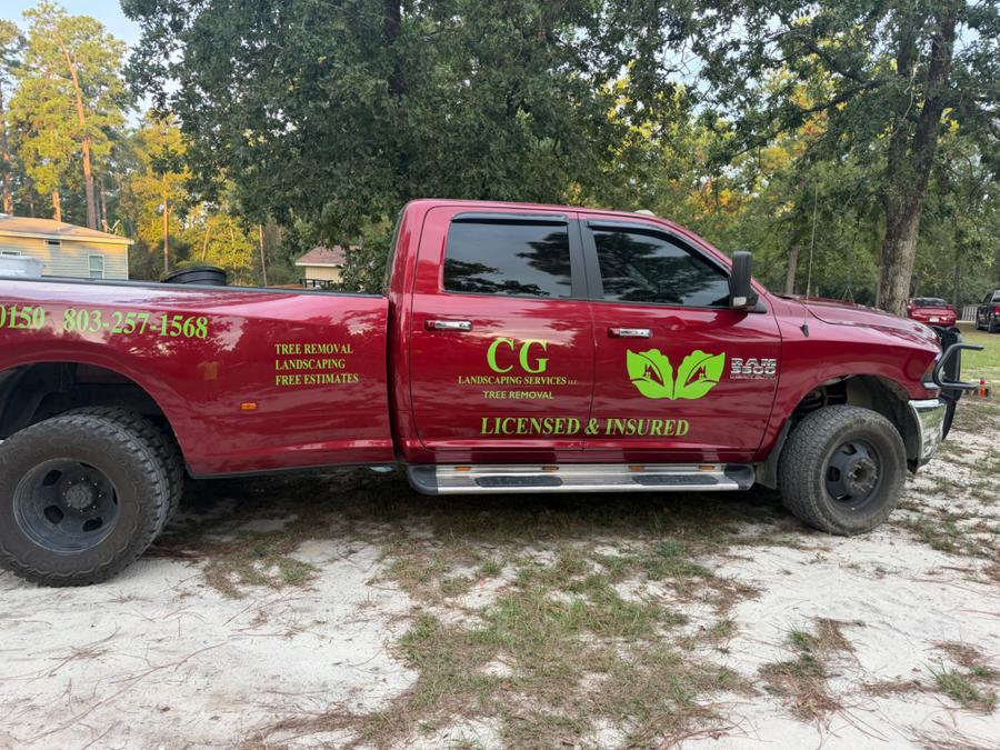 CG Landscaping Services project photo 8