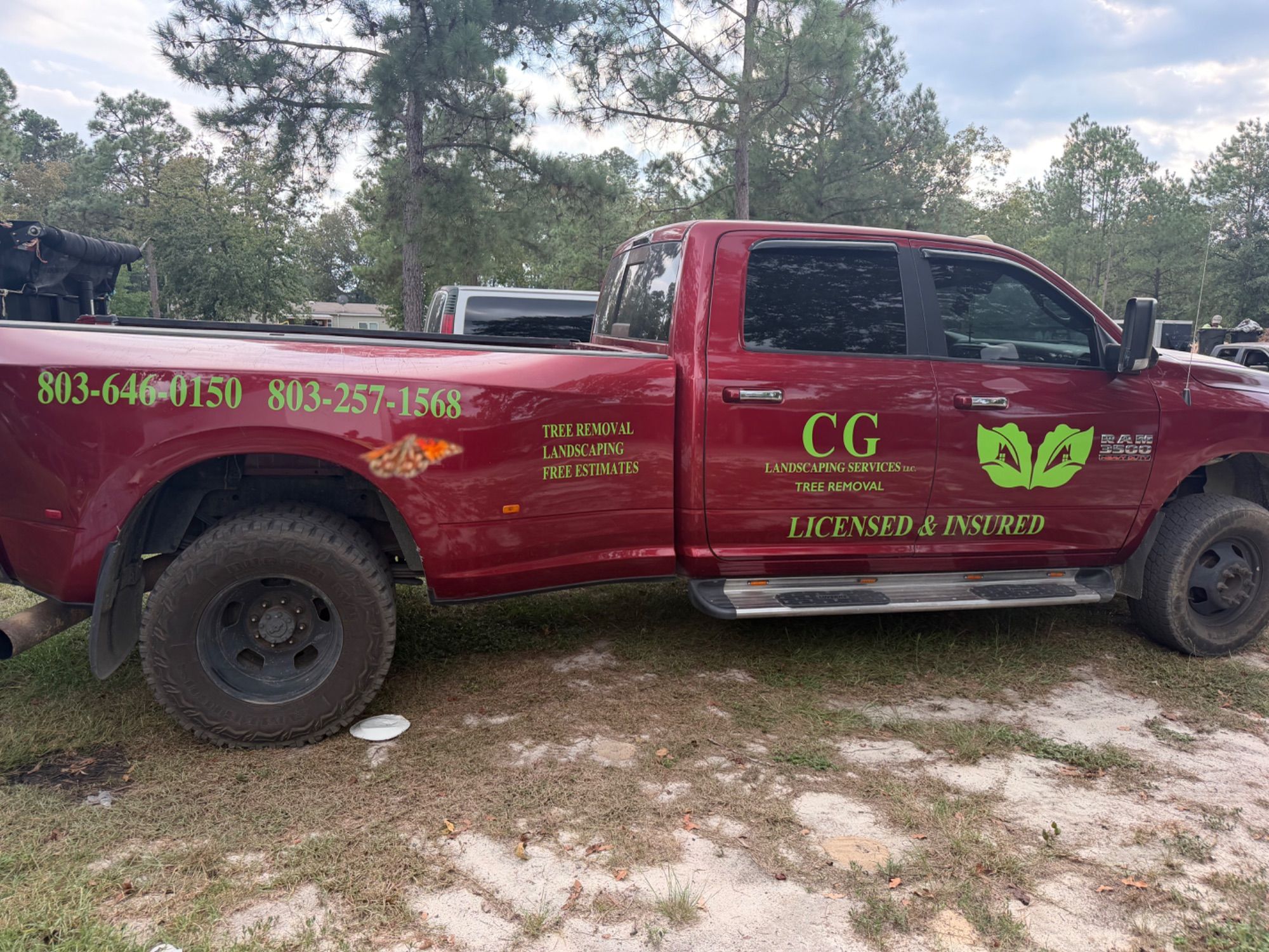 CG Landscaping Services project photo 3