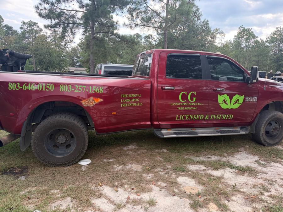 CG Landscaping Services project photo 3