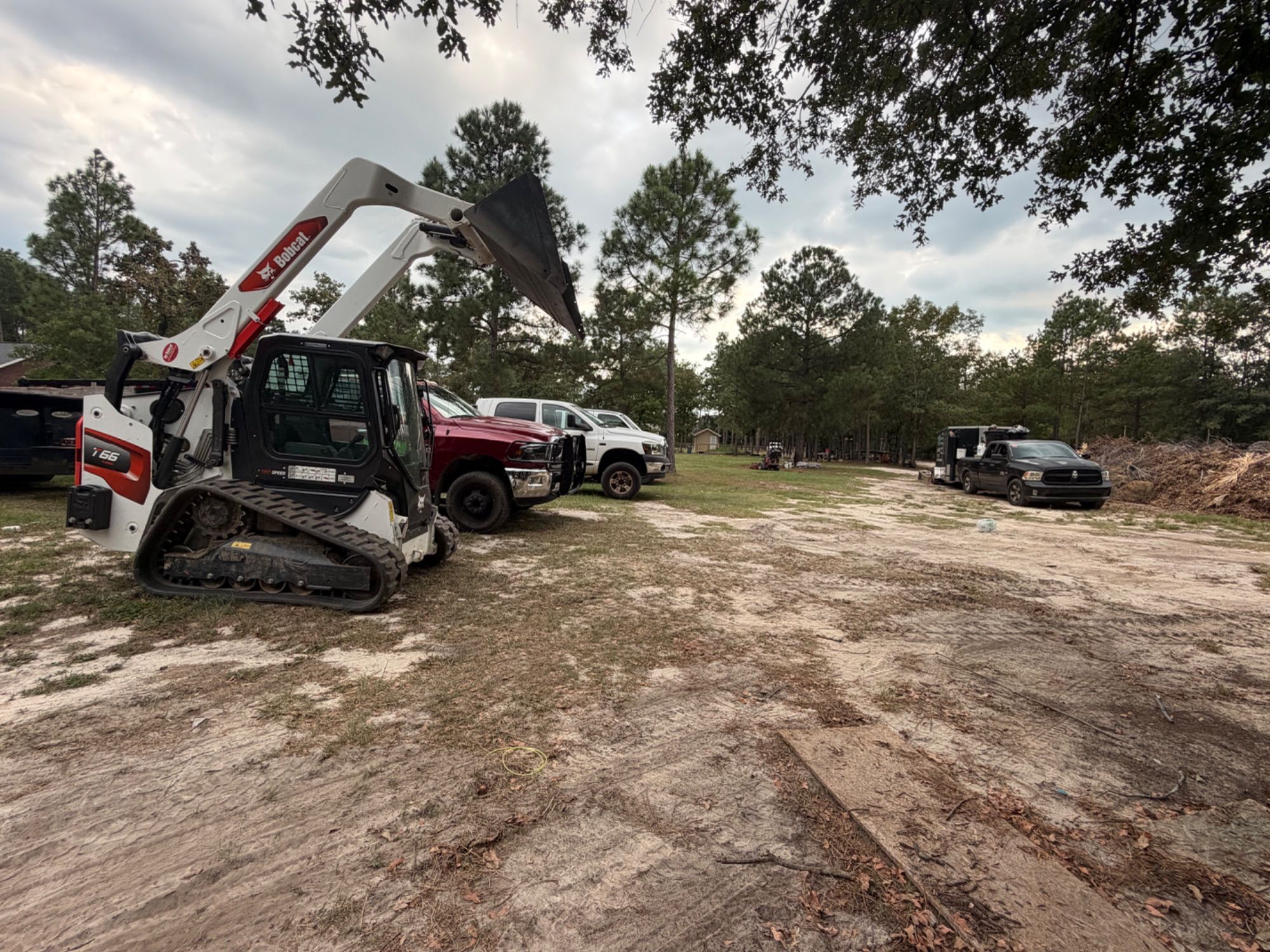 CG Landscaping Services project photo 1