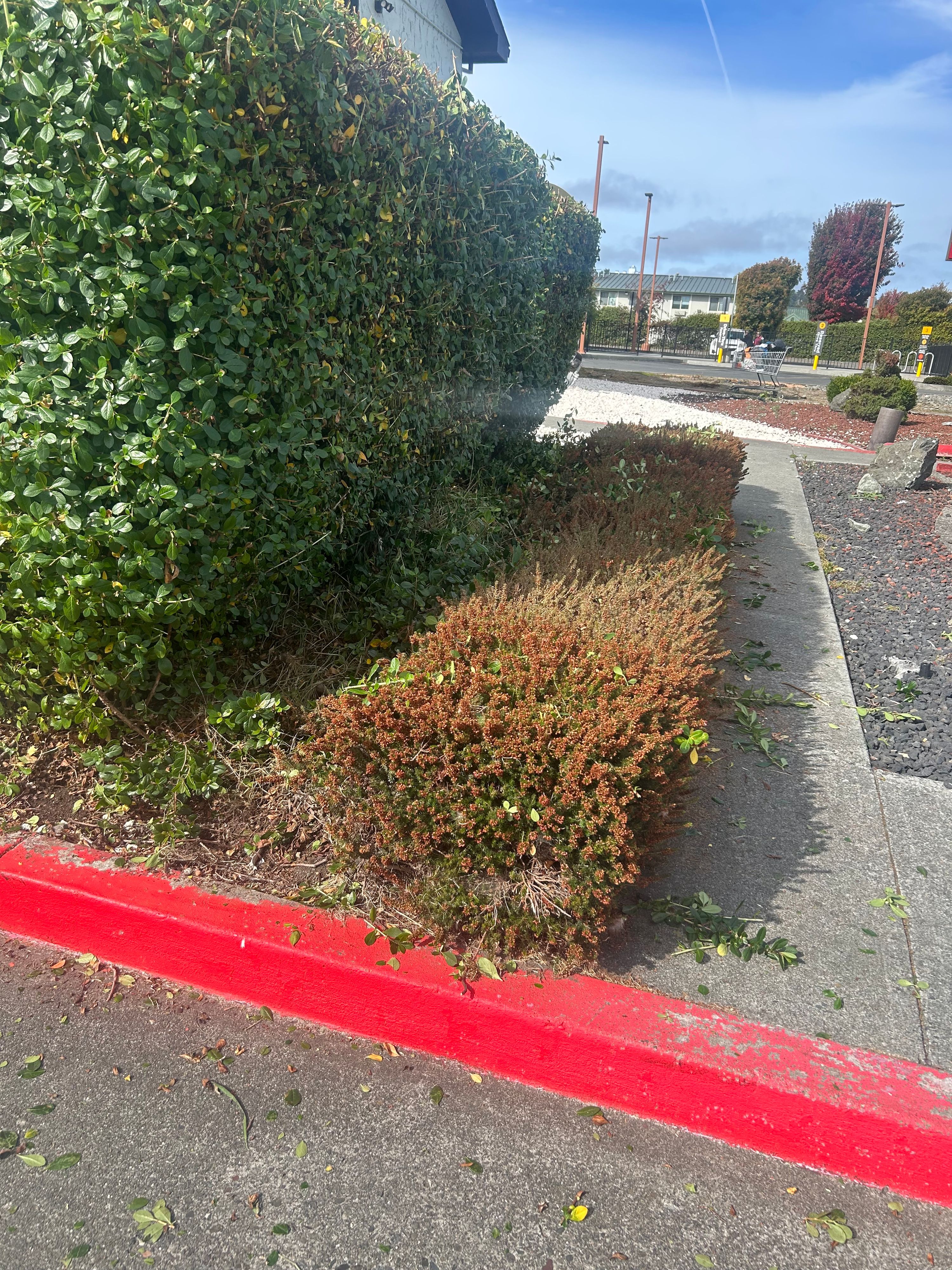 CH Cleaning completed project in Humboldt County — photo 7