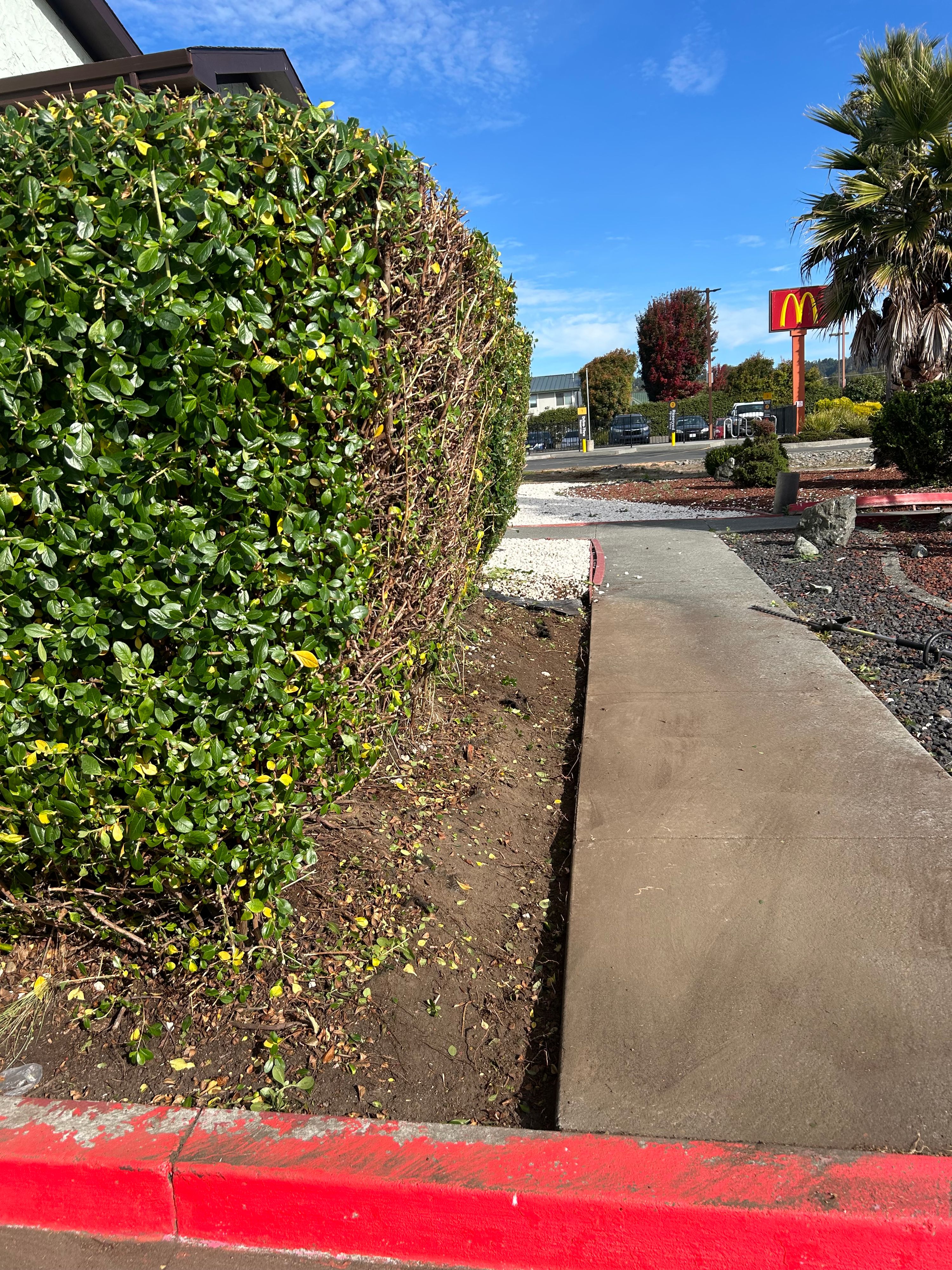 CH Cleaning completed project in Humboldt County — photo 6
