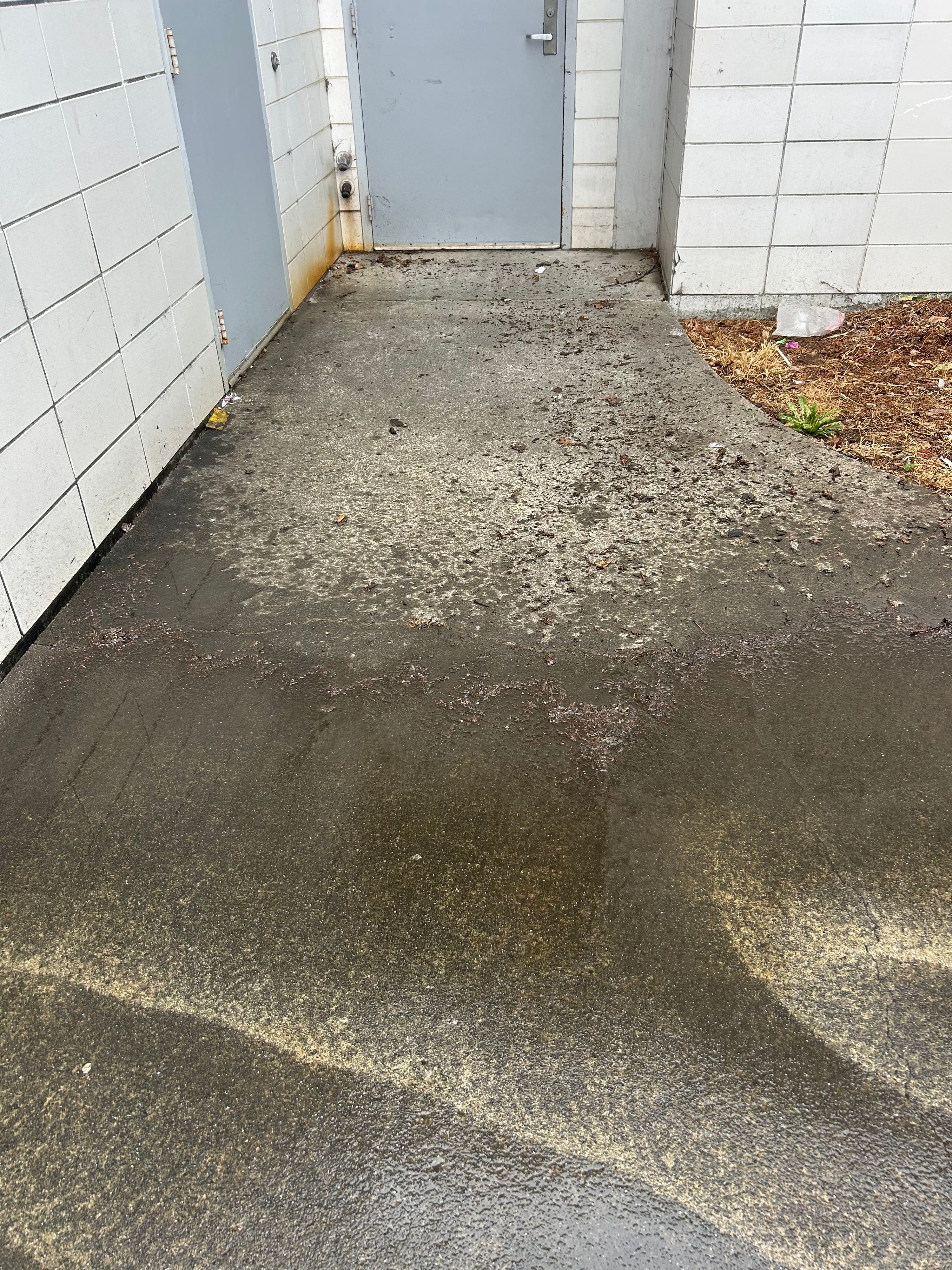 CH Cleaning completed project in Humboldt County — photo 4