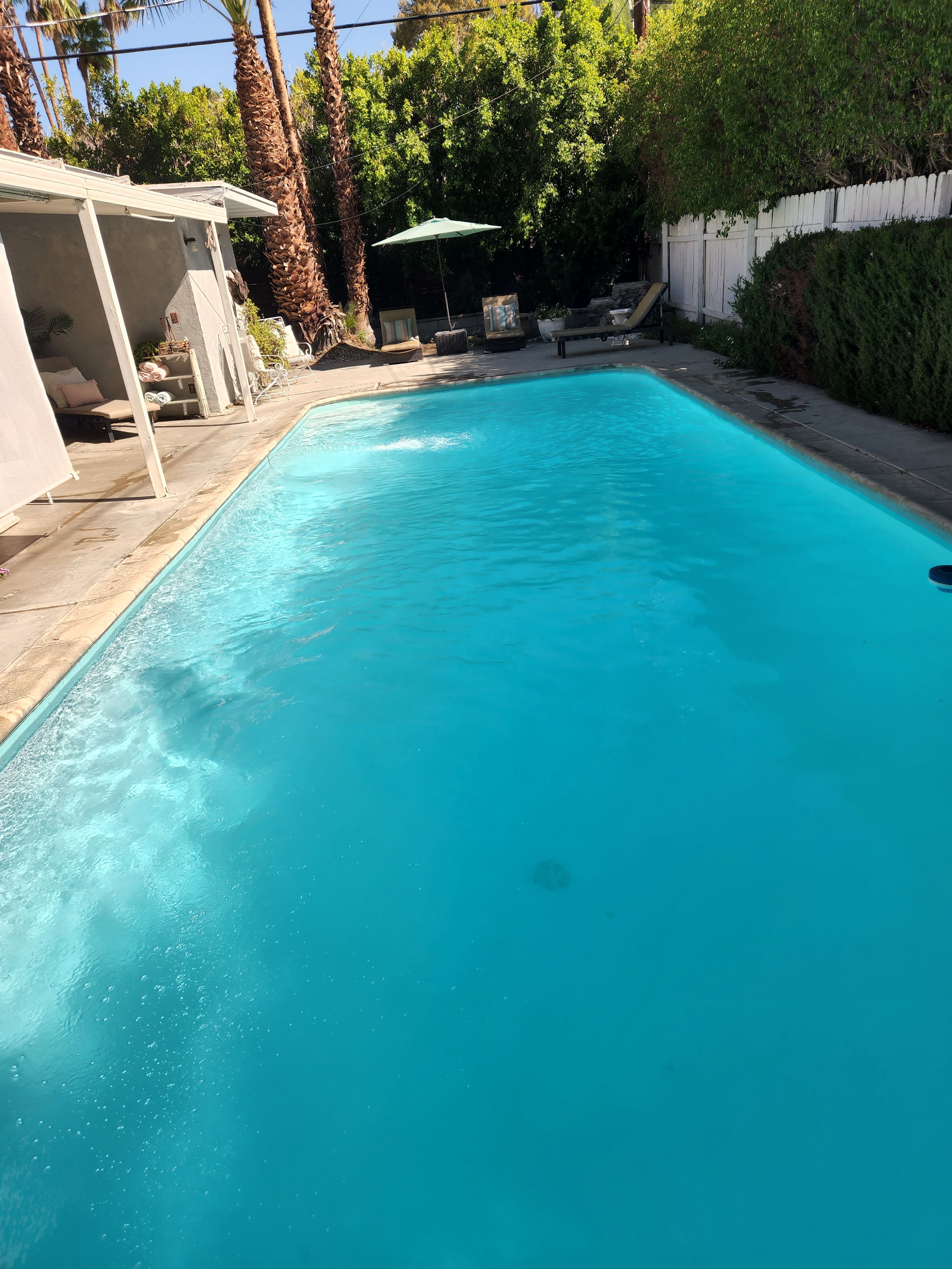 Sparkling clean backyard swimming pool with palm trees after service by Clear Waters Pool Service in Cathedral City, CA